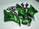 Grün Honda CBR 600 RR 09-12 Verkleidungen Grün Honda CBR 600 RR 09-12 Verkleidungen