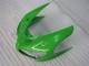 Grün Kawasaki ZX6R 05-06 Verkleidungen & Plastik