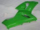 Grün Kawasaki ZX6R 05-06 Verkleidungen & Plastik