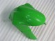 Grün Kawasaki ZX6R 05-06 Verkleidungen & Plastik
