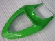 Grün Kawasaki ZX6R 05-06 Verkleidungen & Plastik