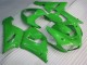 Grün Kawasaki ZX6R 05-06 Verkleidungen & Plastik