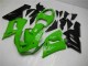 Grün Kawasaki ZX6R 05-06 Vollverkleidung