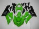 Grün Kawasaki ZX6R 05-06 Vollverkleidung