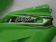 Grün Schwarz Kawasaki EX250 08-12 Verkleidung