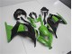Grün Schwarz Kawasaki EX300 13-16 Verkleidung