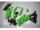 Grün Schwarz Kawasaki EX650 09-11 Verkleidung