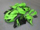 Grün Schwarz Kawasaki ZX14R ZZR 1400 06-11 Verkleidungen