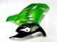 Grün Schwarz Kawasaki ZX14R ZZR 1400 12-21 Verkleidungen