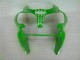 Grün Schwarz Kawasaki ZX6R 00-02 Verkleidung
