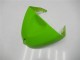 Grün Schwarz Kawasaki ZX6R 05-06 Verkleidung