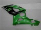 Grün Suzuki GSXR 1000 K5 05-06 Verkleidung