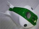 Grün Weiß Honda CBR 1000 RR 04-05 Verkleidungen