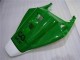 Grün Weiß Honda CBR 1000 RR 04-05 Verkleidungen