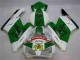 Grün Weiß Honda CBR 1000 RR 04-05 Verkleidungen