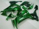 Grüne Flamme Kawasaki ZX10R 08-10 Verkleidungen