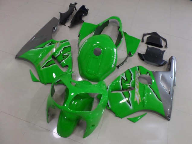 Grüne Flamme Kawasaki ZX12R 00-01 Verkleidungen Grüne Flamme Kawasaki ZX12R 00-01 Verkleidungen