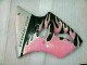 Rosa Kawasaki ZX6R 00-02 Verkleidungen