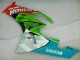 Rot Grün Motocard Kawasaki ZX6R 09-12 Verkleidungen Rot Grün Motocard Kawasaki ZX6R 09-12 Verkleidungen