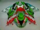 Rot Grün Motocard Kawasaki ZX6R 09-12 Verkleidungen Rot Grün Motocard Kawasaki ZX6R 09-12 Verkleidungen