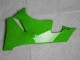 Schwarz Grün 636 Kawasaki ZX6R 09-12 Verkleidungen Schwarz Grün 636 Kawasaki ZX6R 09-12 Verkleidungen