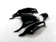 Schwarz Grün Kawasaki ZX14R ZZR 1400 12-21 Verkleidungen Schwarz Grün Kawasaki ZX14R ZZR 1400 12-21 Verkleidungen