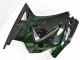 Schwarzer Ninja Kawasaki EX250 08-12 Verkleidungen Schwarzer Ninja Kawasaki EX250 08-12 Verkleidungen