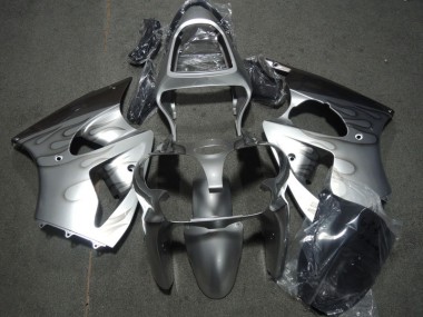 Silber Flamme Kawasaki ZX6R 00-02 Verkleidungen