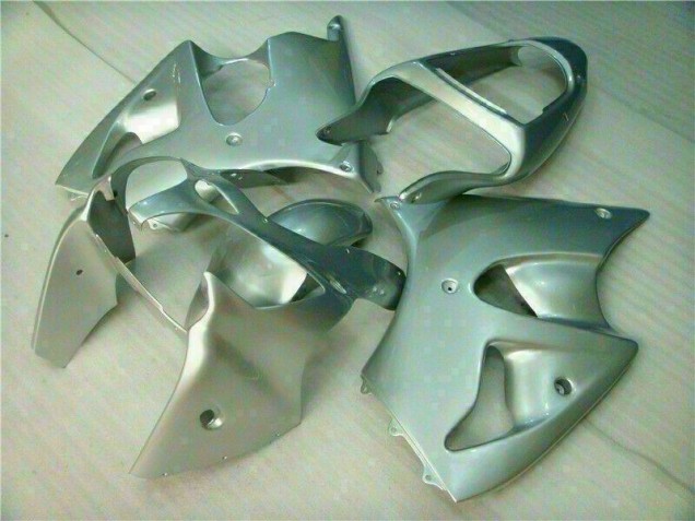 Silber Kawasaki ZX6R 00-02 Verkleidungen