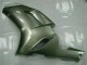 Silber Kawasaki ZX6R 07-08 Verkleidungen