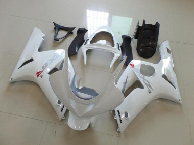 Weiß mit Silber Aufkleber Kawasaki ZX6R 03-04 Verkleidungen